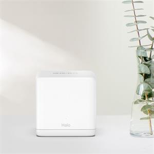 Image1