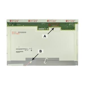 Image1