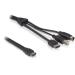 DeLock kabel eSATAp na eSATA/USB-B/MD4-12V 1m