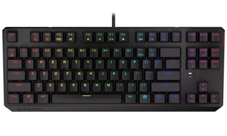 Endorfy herní klávesnice Thock TKL Kailh RD RGB /USB/ red sw. / drátová / mechanická / US layout / černá RGB